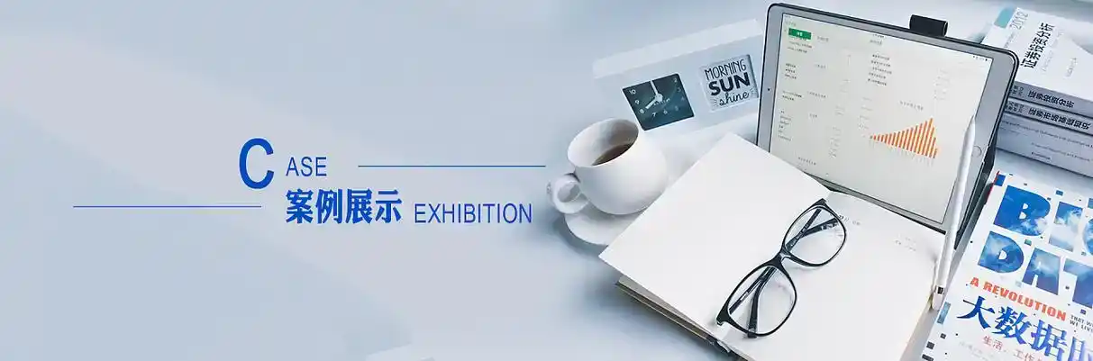 元谋县软件开发